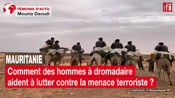 Mauritanie: comment des hommes à dromadaires aident à lutter contre la menace terroriste ? • RFI