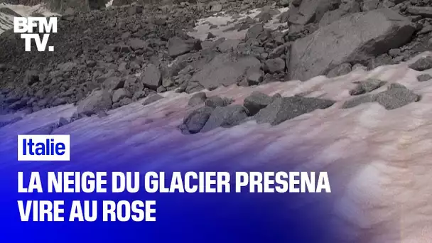 Mystère dans les Alpes italiennes autour de la neige rose du glacier Presena