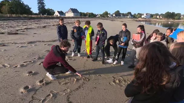 Chez vous, l'émission de F3 Bretagne fait escale à Concarneau: 3eme épisode consacrée à  la jeunesse