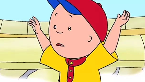 Caillou et les Grands Animaux | Caillou en Français