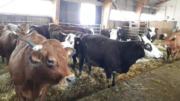 Etre jeunes agriculteurs dans Le Dévoluy, une vocation et une ambition