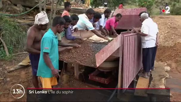 Sri Lanka : l'île du saphir
