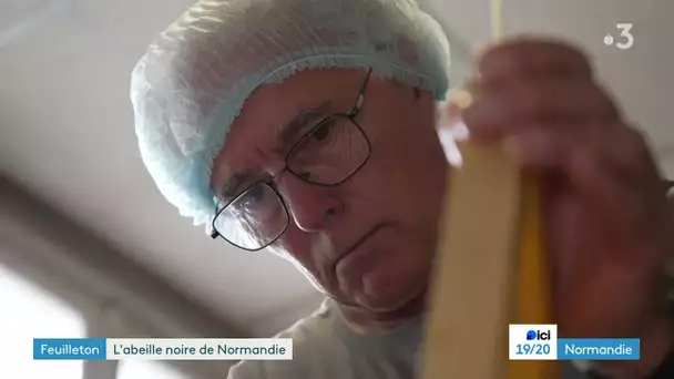 L'abeille noire de Normandie Épisode 4/4 : l'extraction du miel