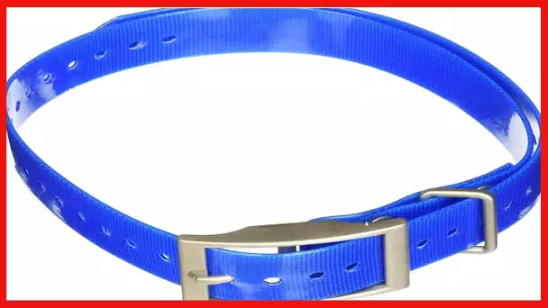 Garmin 1-Inch Dog Collar, Blue