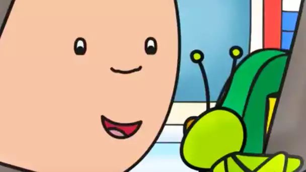 Caillou en Français |  Le Cricket de Caillou | 501 | dessin animé | NOUVEL ÉPISODE HD