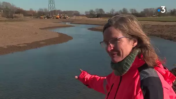 Gard : travaux sur les berges du Vistre en aval de Nîmes pour éviter les inondations