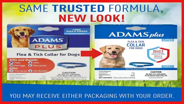 Adams Plus Flea & Tick Collar for Dogs, 7-Month Protection, Adjustable Collar Fits Large Dogs