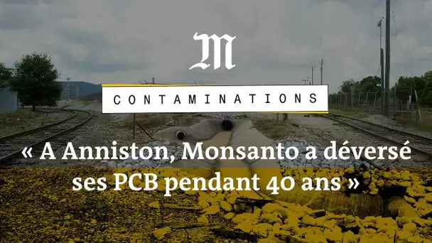 Contaminations : « A Anniston, Monsanto a deversé pendant 40 ans ses PCB dans la nature »