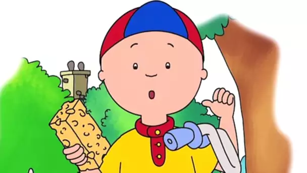 Caillou en Français - C&#039;est à Moi! | dessin animé en francais | conte pour enfant