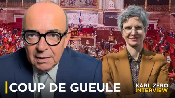 Sandrine Rousseau: "Personne n'a envie d'ouvrir la boite de Pandore de la pédocriminalité"