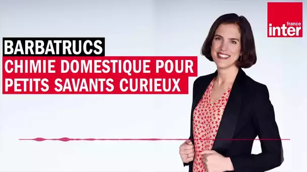 Les Barbatrucs de Dorothée Barba - Chimie domestique pour petits savants curieux