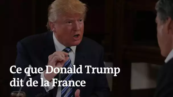 "La France n'est plus la France" : ce que Donald Trump dit de la France