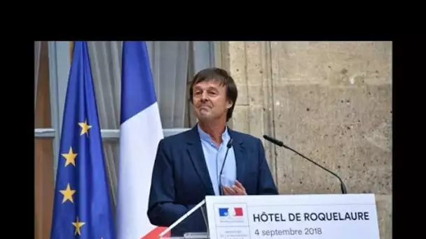 Toujours très populaire, 'Hulot revient'