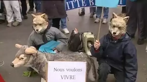 Off manif pro loups