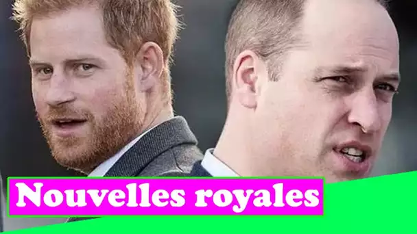 Prince William v Prince Harry: la solution pour mettre fin à la querelle devra venir du duc de Susse