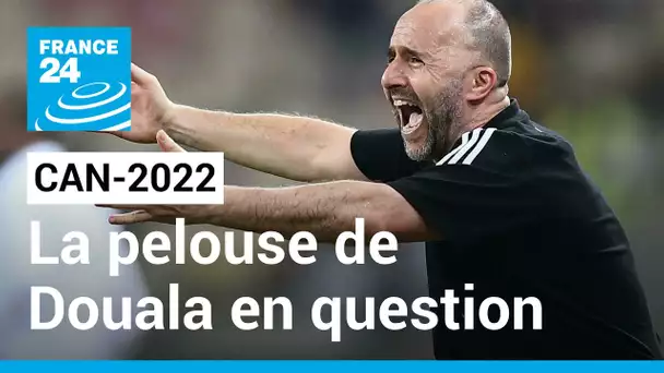 CAN-2022 : "Champ de patates" : Rififi autour du match Algérie - Côte d'Ivoire • FRANCE 24