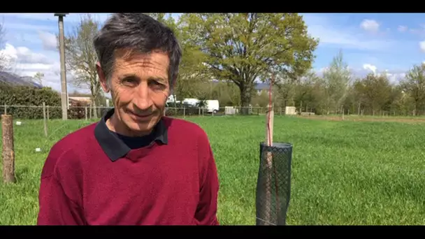 Un agriculteur qui n'utilise plus de pesticides fait son mea culpa : "J'ai usé la terre, j'ai mas…