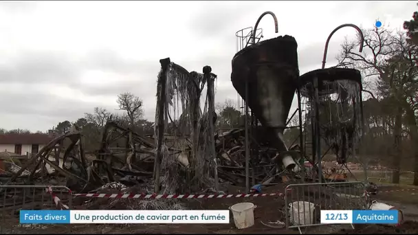 Incendie dans une production de caviar sur le bassin d'Arcachon