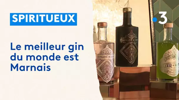 Le meilleur Gin du monde est produit dans la Marne