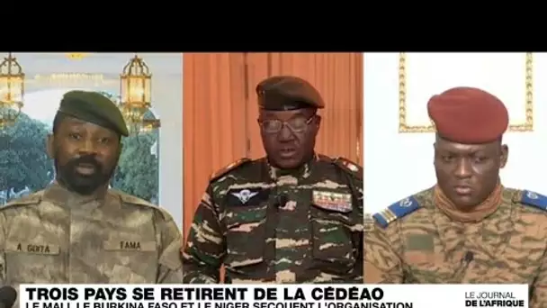 Nouvelle crise à la CEDEAO, réaction de la diaspora malienne à Dakar • FRANCE 24