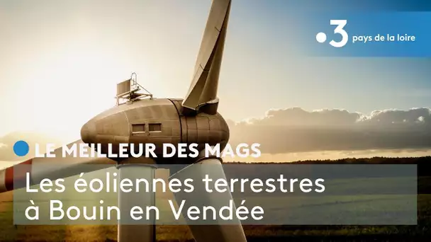 Le meilleur des Mags : Les éoliennes terrestres à Bouin