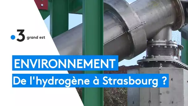 Environnement : bientôt de l'hydrogène à Strasbourg