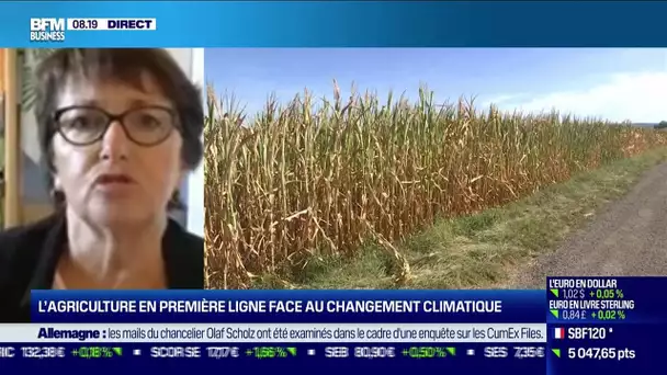 Christiane Lambert (FNSEA) : L'agriculture en première ligne face au changement climatique
