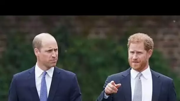 Harry et William "ont besoin d'une intervention" car les tensions sont maintenant si fortes qu'elles