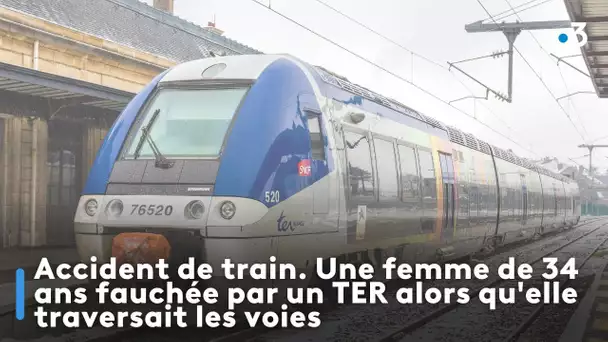 Accident de train. Une femme de 34 ans fauchée par un TER alors qu'elle traversait les voies