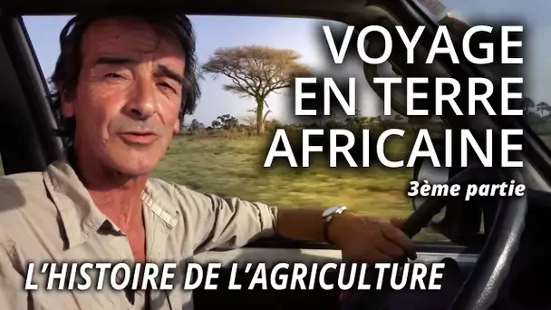L'histoire de l'agriculture africaine - L'Esprit Sorcier