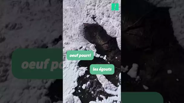 Une rivière polluée au Brésil couverte d’une mousse toxique #shorts