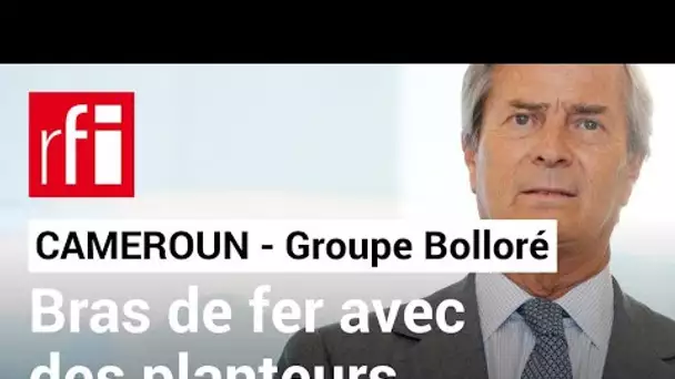 Cameroun : bras de fer entre des planteurs et le groupe Bolloré • RFI