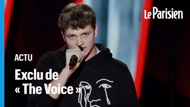 The Vivi, candidat de « The Voice », exclu de l’émission après ses tweets choquants