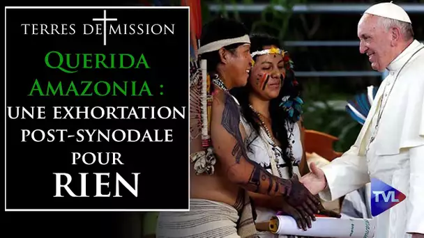 Querida Amazonia : une exhortation post-synodale pour rien - Terres de Mission n°164 - TVL