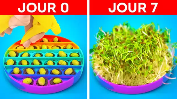 ASTUCES GÉNIALES POUR FAIRE POUSSER DES PLANTES À LA MAISON