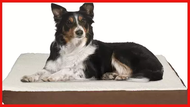 Orthopedic Dog Bed Collection – 2-Layer Memory Foam Dog Bed with Machine Washable Sherpa Top Cover