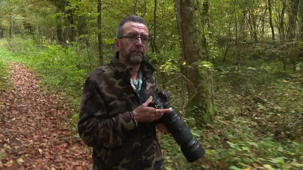 TEMOIGNAGE. Martial Deschaseaux, premier enfant au monde à bénéficier d’une greffe de foie d’adulte