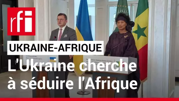 Sénégal : début de la tournée africaine de l'Ukrainien Dmytro Kuleba • RFI