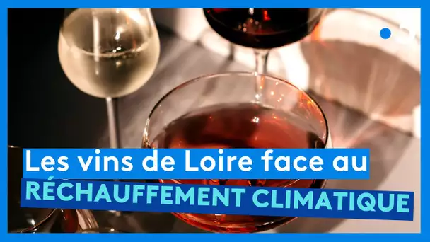 Angers : salon des vins de Loire 2023 et adaptation au réchauffement climatique