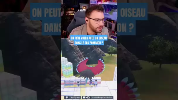 VOLER AVEC UN OISEAU DANS LE DLC POKEMON ?