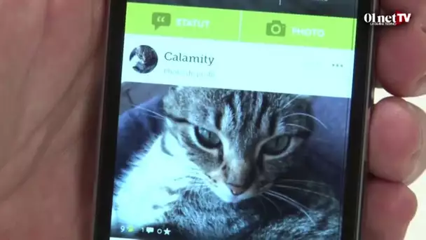 Yummypets : Le réseau social pour animaux (test appli smartphone)