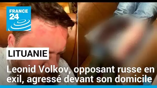Leonid Volkov, proche de Navalny en exil, agressé devant son domicile en Lituanie • FRANCE 24