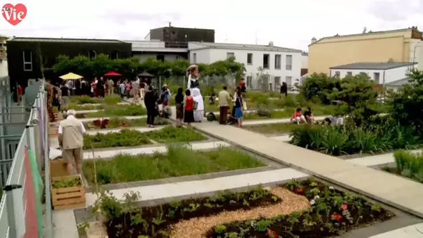 Potager geant sur les toits de paris