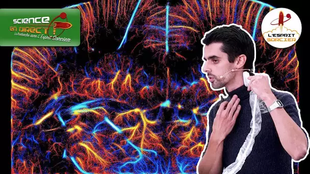 Voir l'invisible grâce aux ultrasons | Olivier Pedreira - Science En Direct