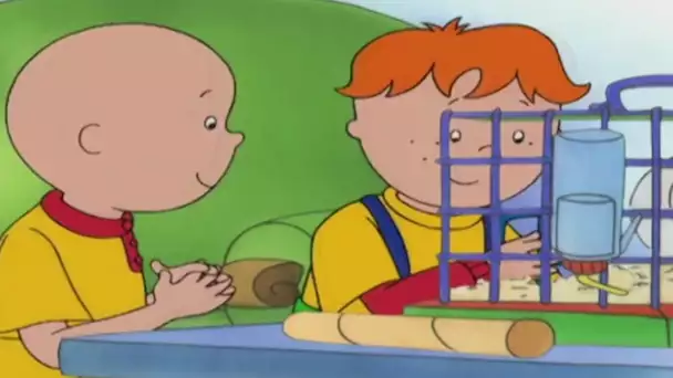 Caillou en français -  Caillou 3 HEURES Longue durée film | dessin animé complet en francais