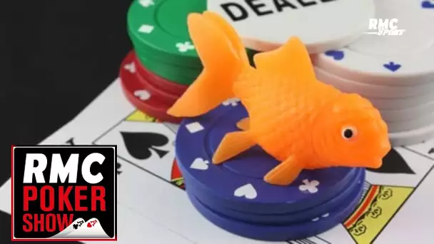 RMC Poker Show - Le "Dans la tête d'un fish" du 19 février 2023