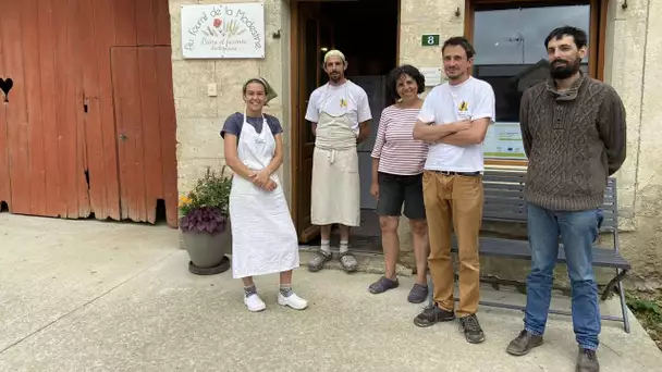 Paysans, mais aussi meuniers et boulangers : le pari réussi du fournil de la Modestine à Cornot