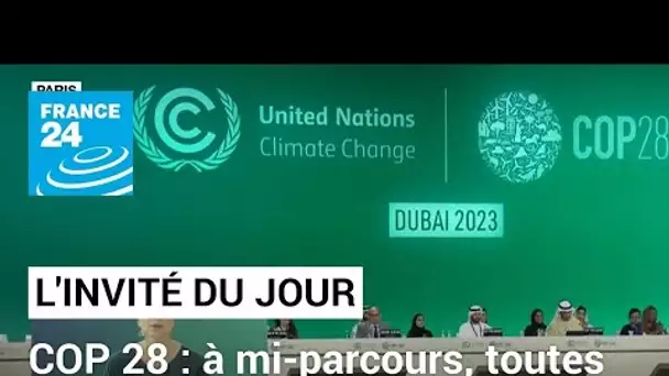 "À la COP28, on attend un souffle politique pour s’attaquer à la question des énergies fossiles"