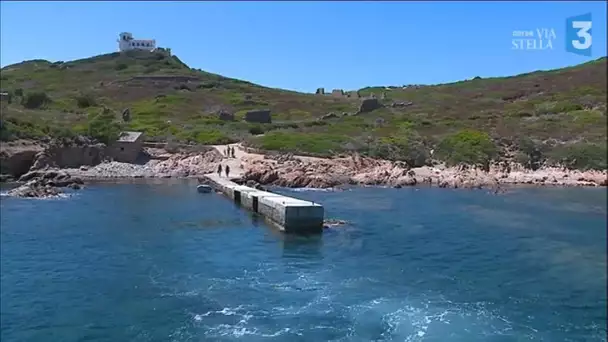 De Scandola à Bonifacio : à la découverte des plus beaux sites marins de Corse - Ajaccio
