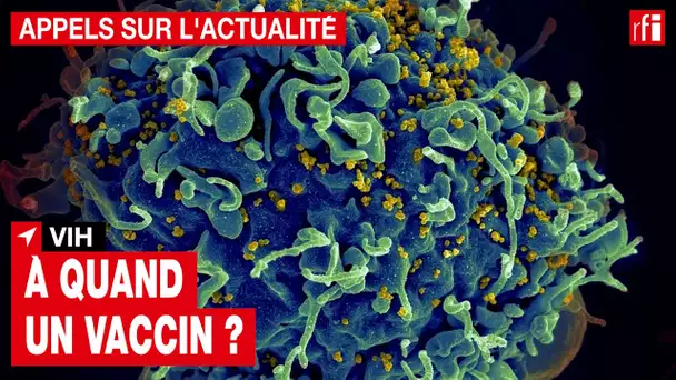 VIH : à quand un vaccin ?